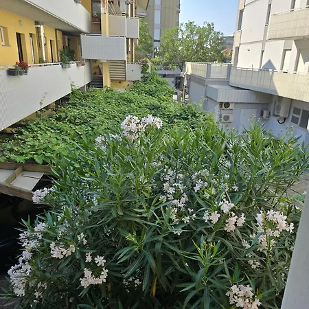Apartment Nerina
